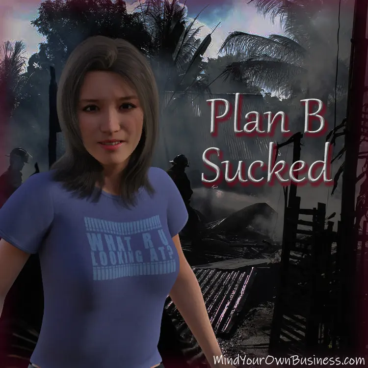 Funny comic showing the smoldering wreckage of Plan A, with a sign that reads 'Plan B Sucked'